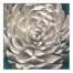White Chrysanthemum 36x36 Canvas Wall Art