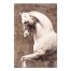 The Charge 32x48 Canvas Wall Art