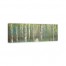 Birch Tree Grove 60x20 Canvas Wall Art