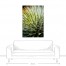 Aloe 32x48 Canvas Wall Art