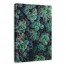 Succulent 32x48 Canvas Wall Art