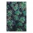 Succulent 32x48 Canvas Wall Art