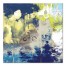 Excitement 36x36 Canvas Wall Art