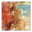 Potential 2 36x36 Canvas Wall Art