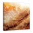Forever Amber 36x36 Canvas Wall Art