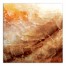 Forever Amber 36x36 Canvas Wall Art