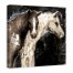 Best Friends 36x36 Canvas Wall Art