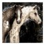 Best Friends 36x36 Canvas Wall Art