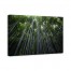 Congo View 48x32 Canvas Wall Art 