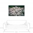 Succulent Cover 48x32 Canvas Wall Art