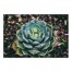 Agave 48x32 Canvas Wall Art