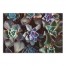 Agave 2 48x32 Canvas Wall Art 
