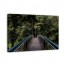 Forrest Bridge 48x32 Canvas Wall Art