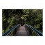 Forrest Bridge 48x32 Canvas Wall Art
