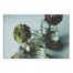 Solitary Agave 48x32 Canvas Wall Art