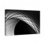 Frenzy 48x32 Canvas Wall Art