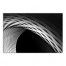 Frenzy 48x32 Canvas Wall Art