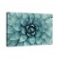 Agave 3 48x32 Canvas Wall Art