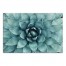 Agave 3 48x32 Canvas Wall Art