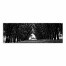 Tree Arcade 60x20 Canvas Wall Art 