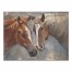 Friends 40x30 Canvas Wall Art