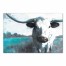 Bull Close-up 30x20 Canvas Wall Art