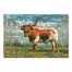 Majestic Bull 30x20 Canvas Wall Art