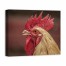 Rooster Face 24x20 Canvas Wall Art 