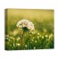 Dandelion Days 24x20 Canvas Wall Art