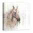 Distressed Horse 24x24 Canvas Wall Art