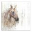 Distressed Horse 24x24 Canvas Wall Art