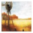 Fields of Gold 24x24 Canvas Wall Art
