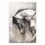 Majestic Horse 24x36 Canvas Wall Art