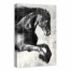 Wood Grain Horse 24x36 Canvas Wall Art