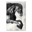 Wood Grain Horse 24x36 Canvas Wall Art