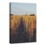 Harvested Field of Gold 24x36 Canvas Wall Art