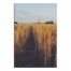 Harvested Field of Gold 24x36 Canvas Wall Art