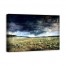 Dramatic Painted Plain 36x24 Canvas Wall Art