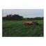 Big Yellow Tractor 36x24 Canvas Wall Art