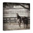 Horse News 30x30 Canvas Wall Art