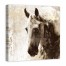 Painterly Beige Horse 30x30 Canvas Wall Art 