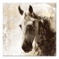 Painterly Beige Horse 30x30 Canvas Wall Art 