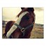 Horse Hello 40x30 Canvas Wall Art 
