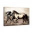 Run Horse Run 48x32 Canvas Wall Art