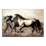 Run Horse Run 48x32 Canvas Wall Art