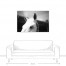 Horse Lashes 48x32 Canvas Wall Art 