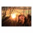Sunset Wheat 48x32 Canvas Wall Art