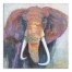 African Elephant 30x30 Canvas Wall Art