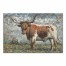 Stoic Ox 36x24 Canvas Wall Art 