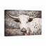 White Ox 36x24 Canvas Wall Art